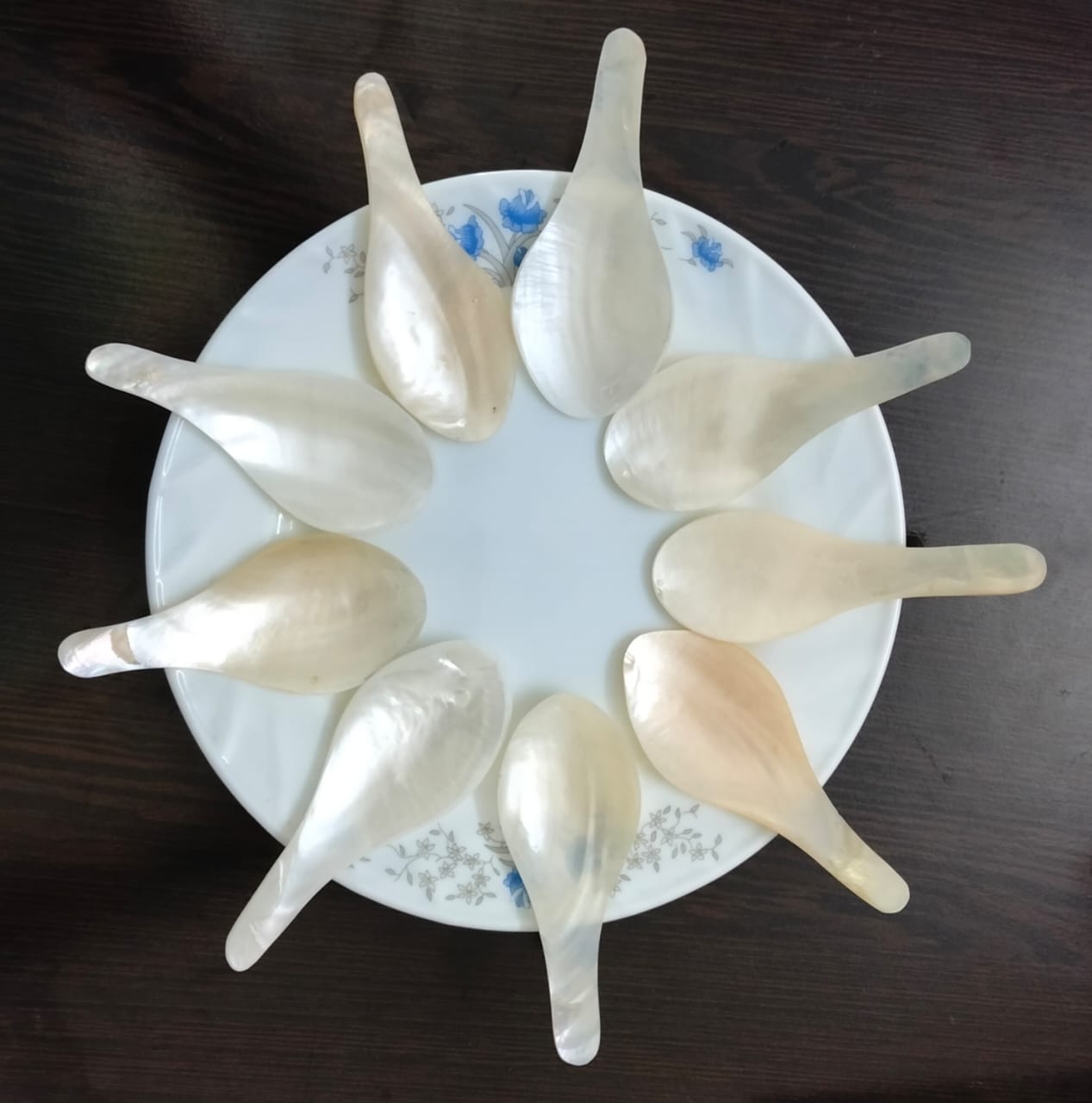 Sustainable Soup Spoon